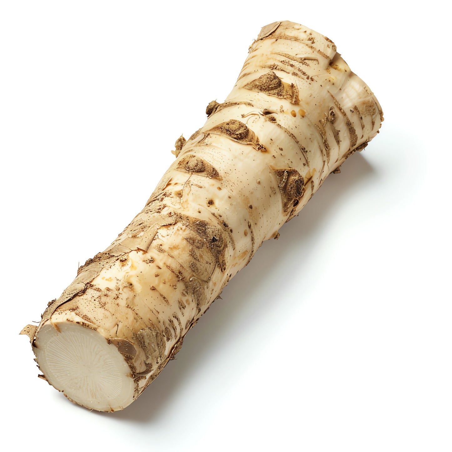 Křen čerstvý praný, 1 ks