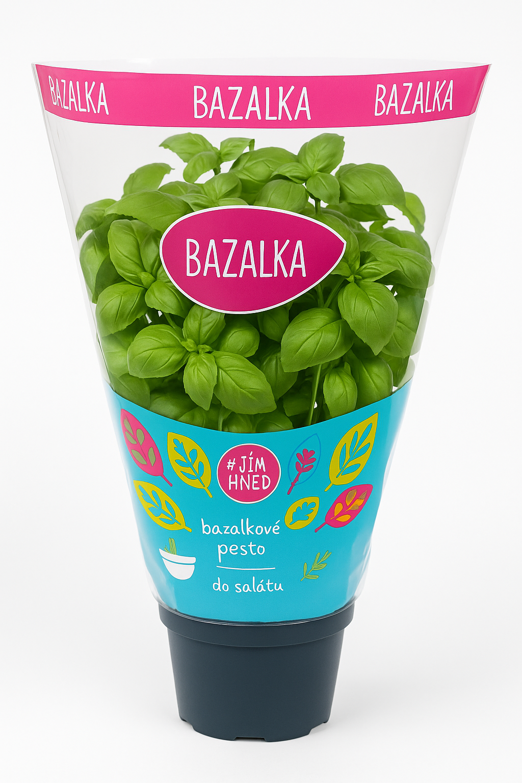 Titbit Bazalka květináč "13 cm”