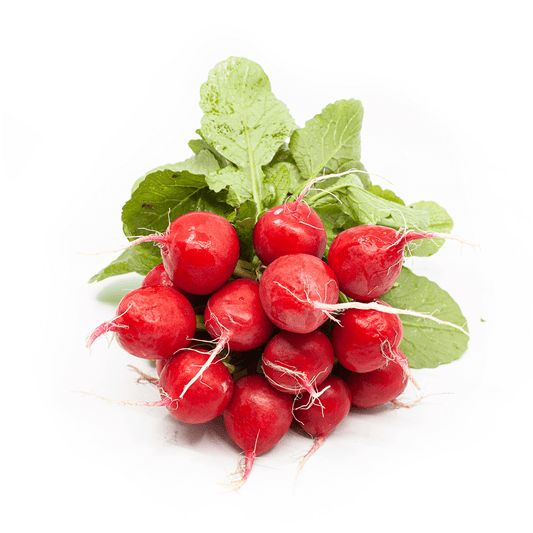 Farma Hana Součková Ředkvičky červené, svazek 250g+